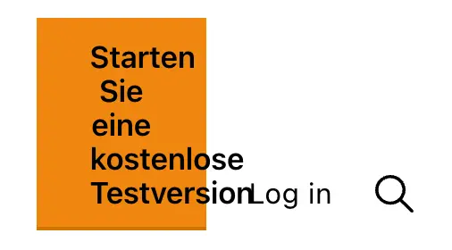 Text Overflow issue