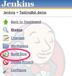 run Jenkins job