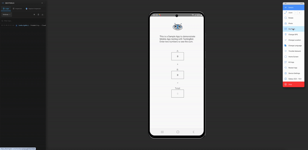 Appium Inspector interface options
